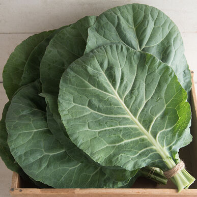 Collards - Bulk Wash and Cut