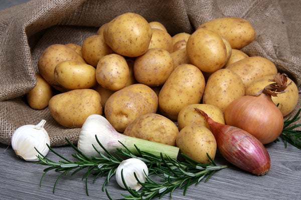 Russet Potato's