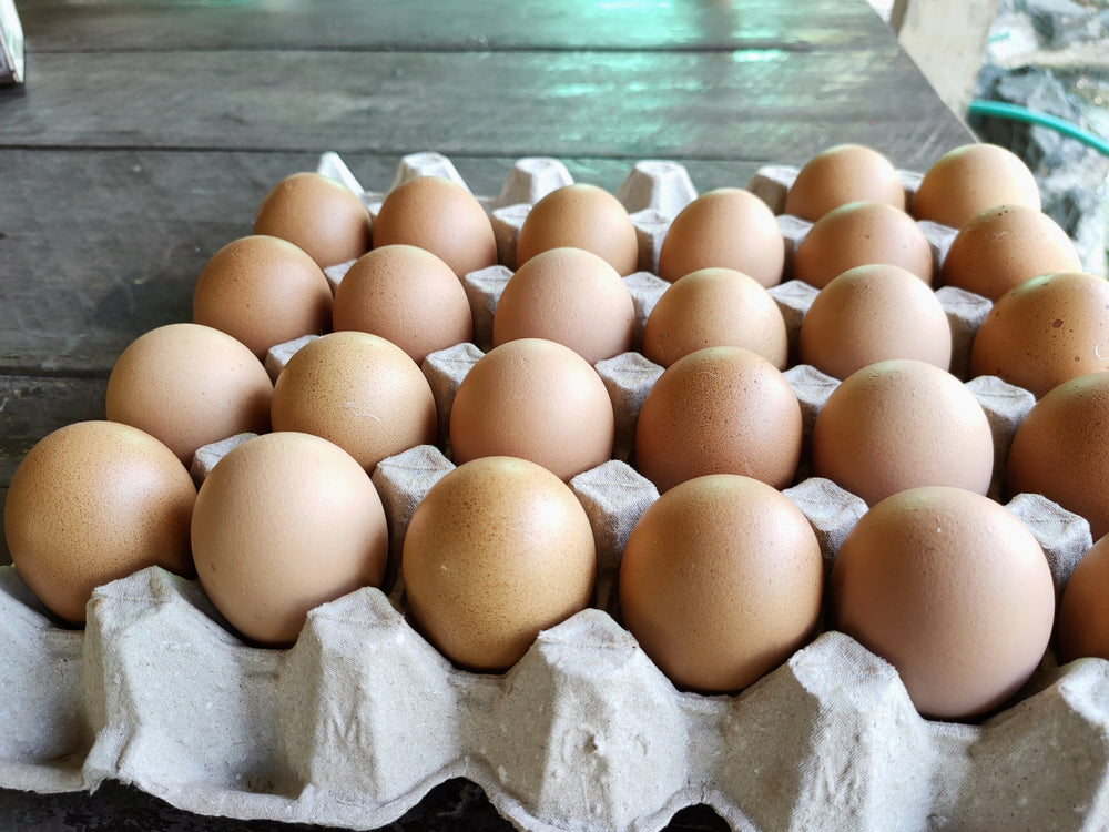 Large Eggs, Bulk Dozen, 15 Dozen Case - Bedient Farms