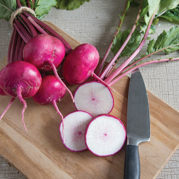 Salad Turnips - Scarlett