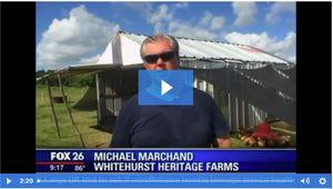 Fox 26 News Houston: Sally MacDonald Visits Whitehurst Heritage Farms
