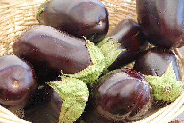 All About Eggplant