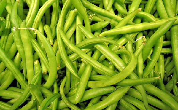 All About Green Beans