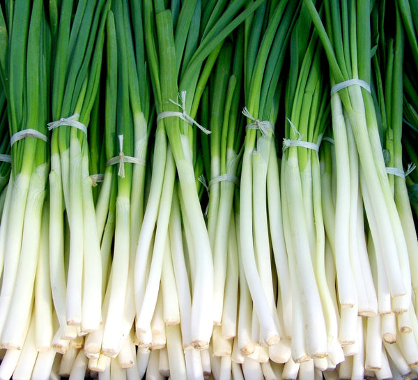 All About Green Onions
