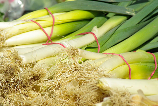 All About Leeks