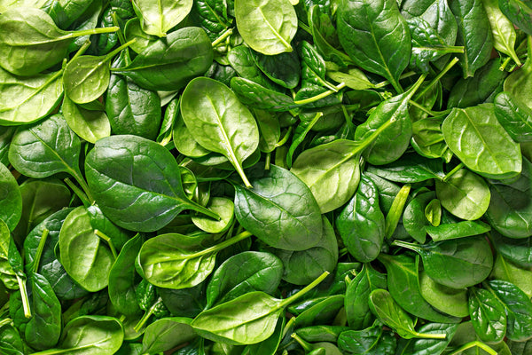 All About Spinach