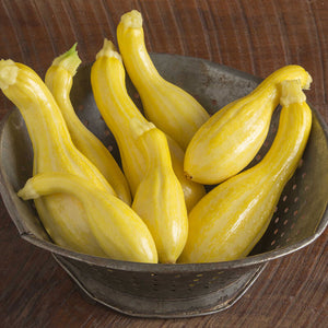 Summer Squash Varieties - by Weight