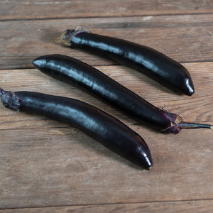 Eggplant