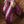Eggplant