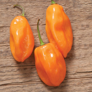 Sweet and Hot Peppers - by Weight
