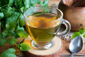 Herbs - Lemon Balm
