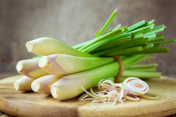 Herbs - Lemon Grass