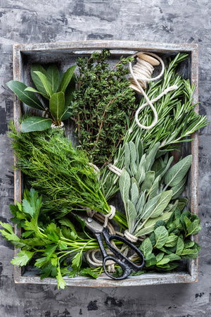 Herbs