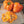 Bell Peppers