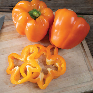 Bell Peppers