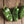 Sweet and Hot Peppers - by Weight