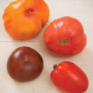 Tomato Varieties