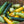 Squash and Zucchini