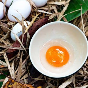 Pastured Duck Eggs from Whitehurst Farm, Brenham TX