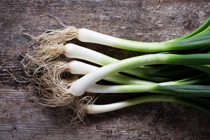 Bunching Onions (Scallions/Green Onions)