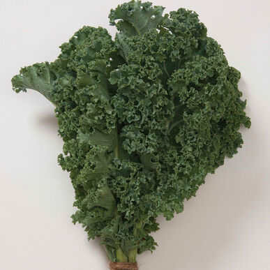 Kale - Winterboer