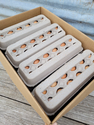 Case - 16 Dozen - Cartons