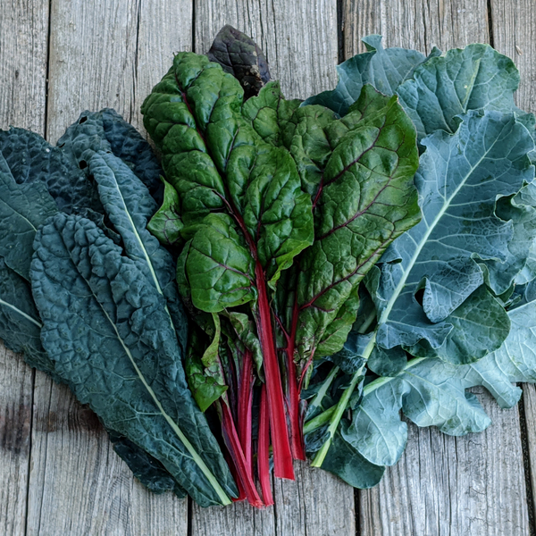 Juicing Greens - Mixed Variety - Bulk